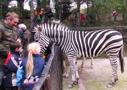 Зоопарк Сказка в Ялте — всех можно погладить!